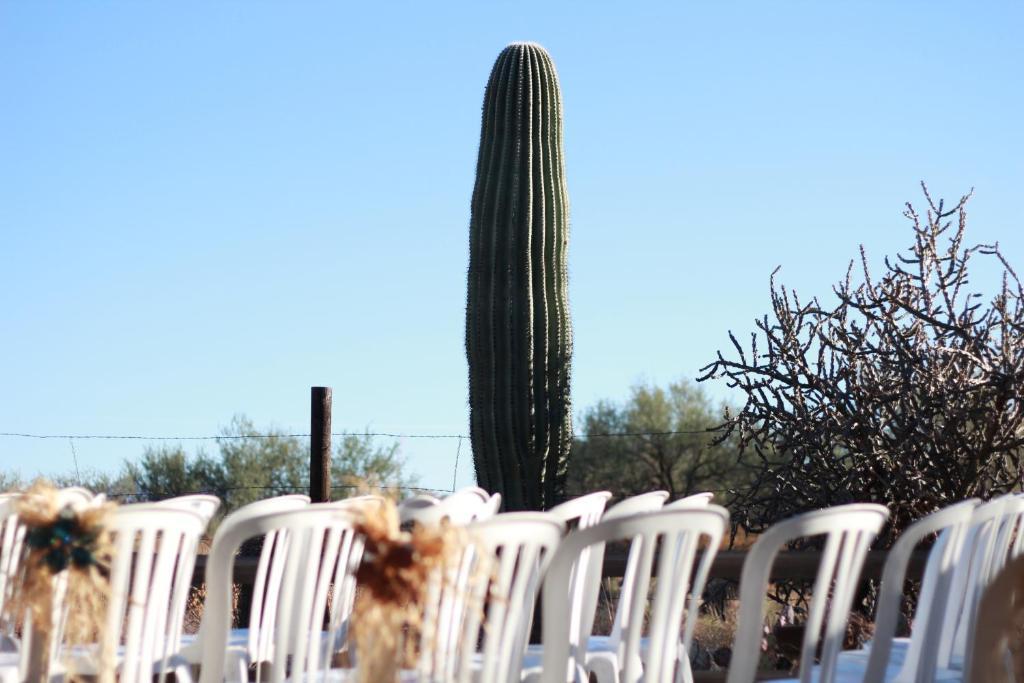 Amado Territory B&B Exterior photo